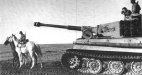 Pz. VI Ausf. E